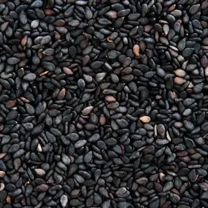 Colza para alimentación animal