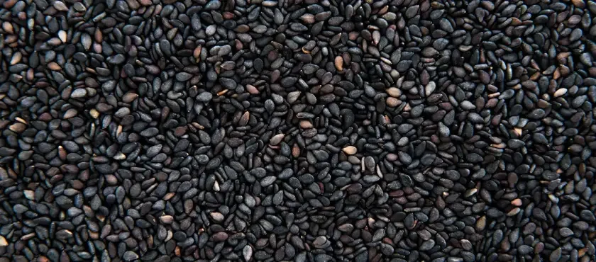 Colza para alimentación animal