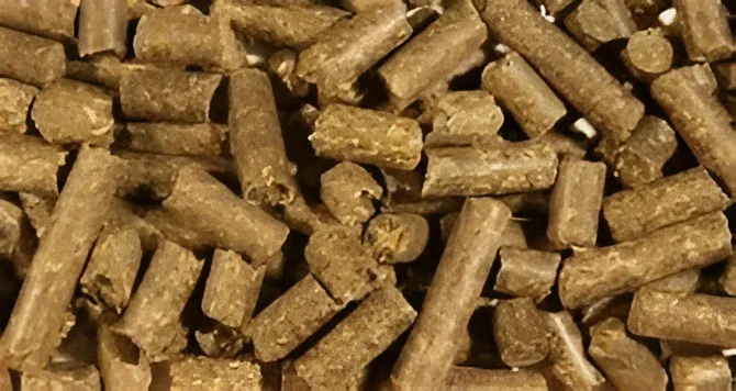 Girasol de pellets para alimentación animal