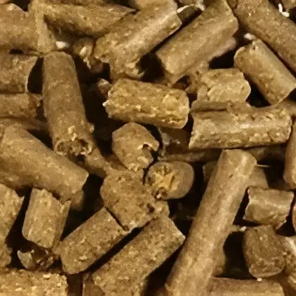 Girasol de pellets para alimentación animal