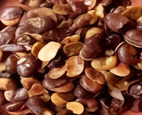 Habas para alimentación animal