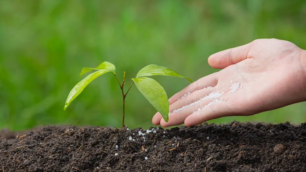 NPKs y nitrogenados para fertilización agrícola