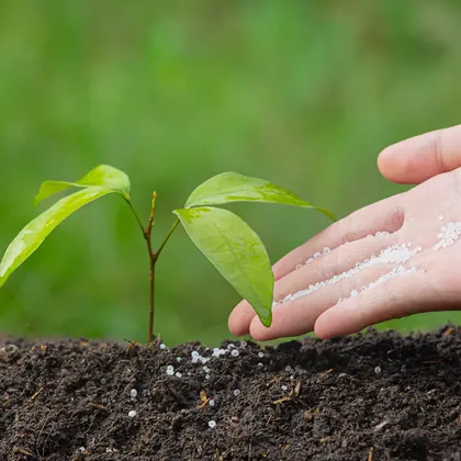 NPKs y nitrogenados para fertilización agrícola