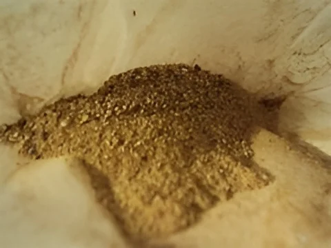 Palmiste para alimentación animal