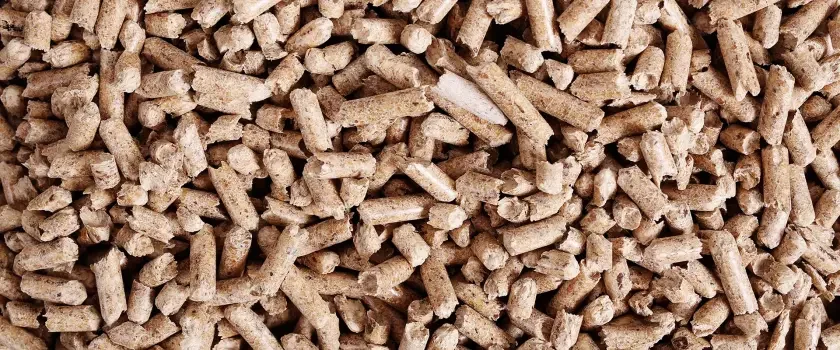 Pulpa de remolacha para alimentación animal