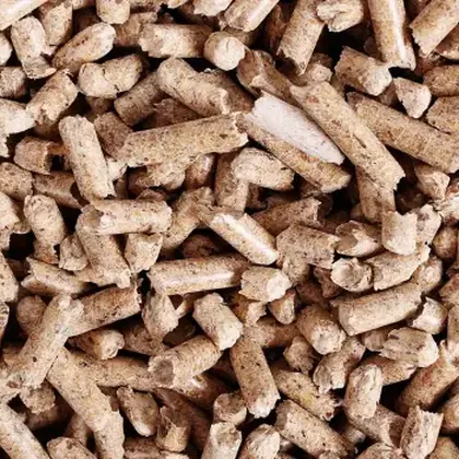 Pulpa de remolacha para alimentación animal