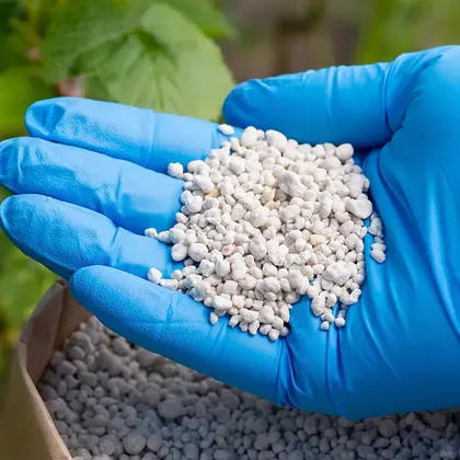 Urea para fertilización agrícola