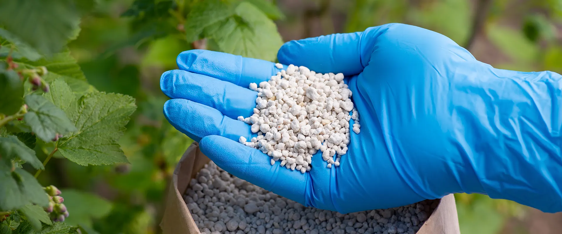 Urea